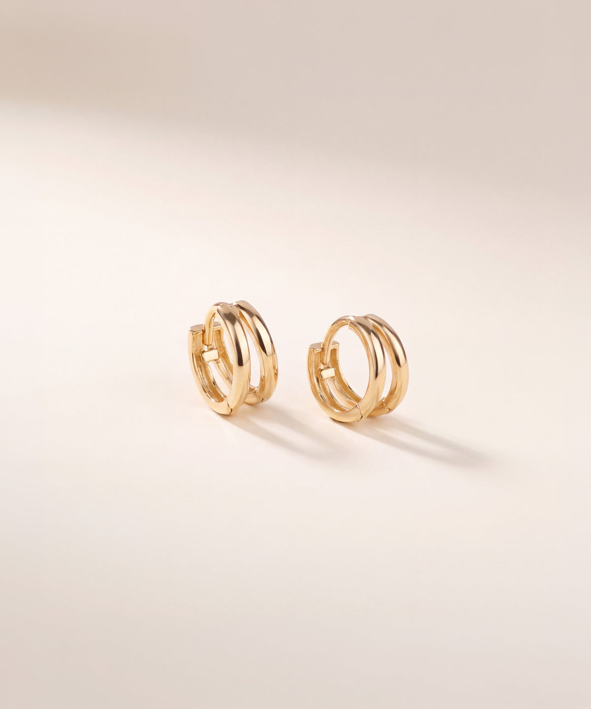 Double Loop Hoop Earrings