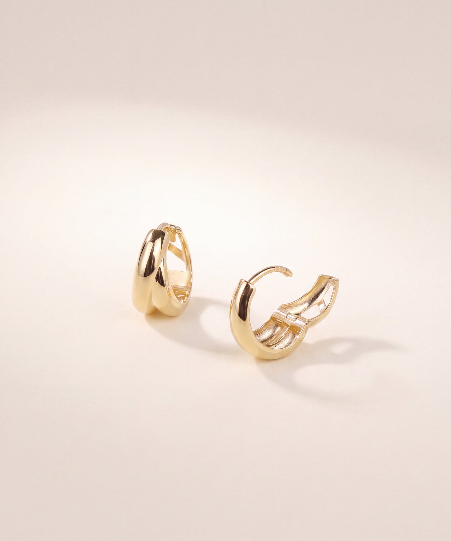 Double Curve Hoop Earrings