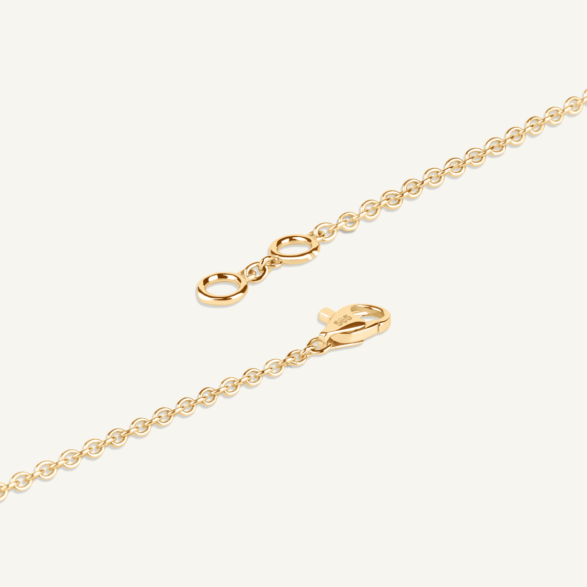 Yellow Gold | shot 3