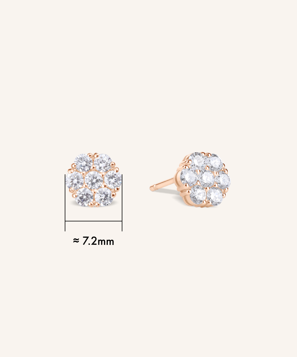 Hwaon Stud Earrings