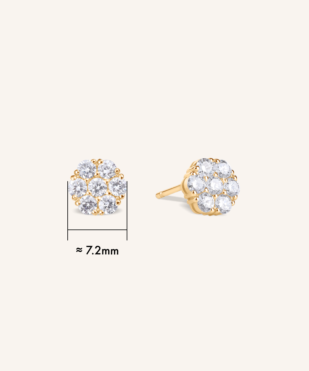 Hwaon Stud Earrings